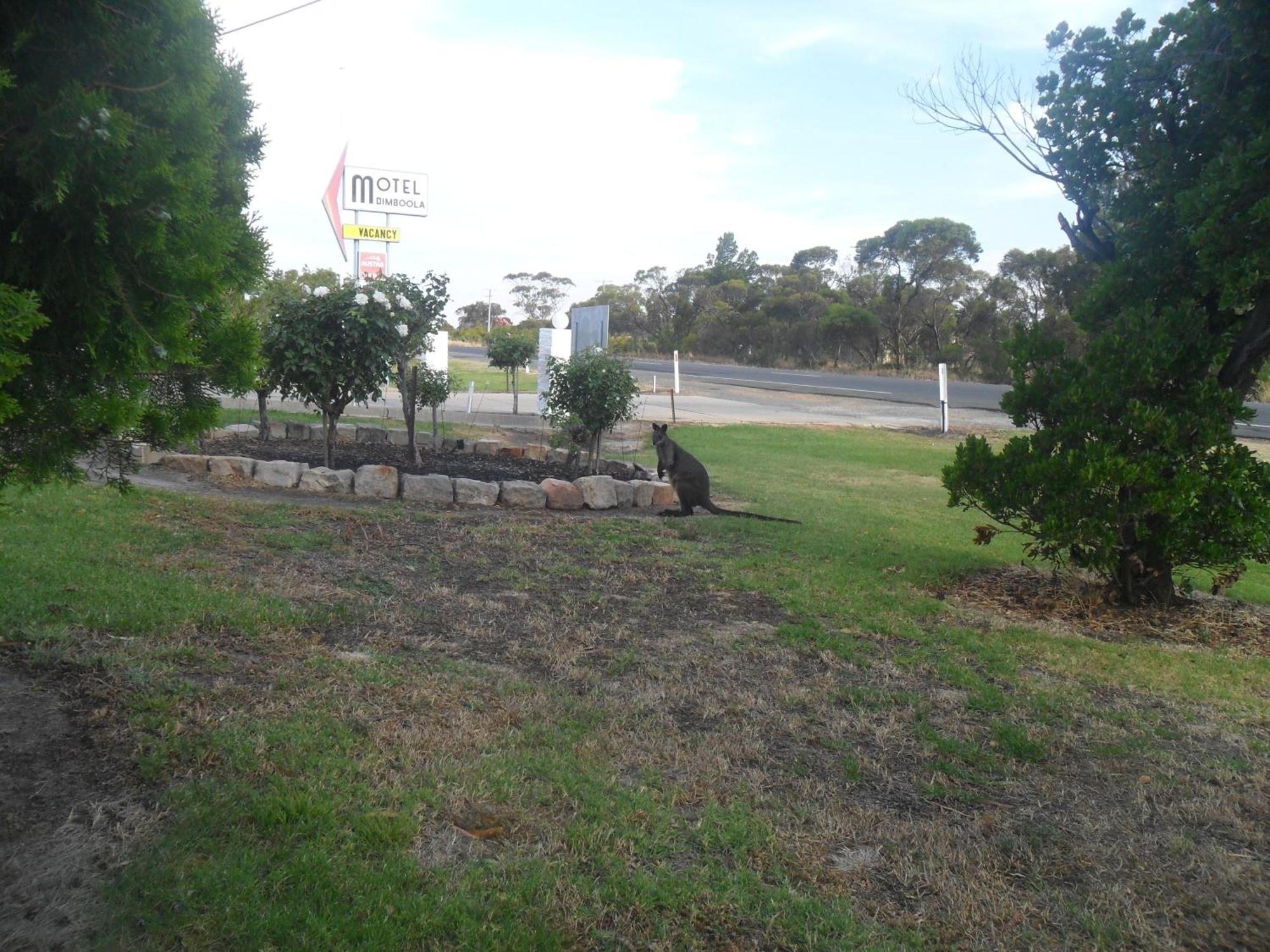 Motel Dimboola Екстериор снимка