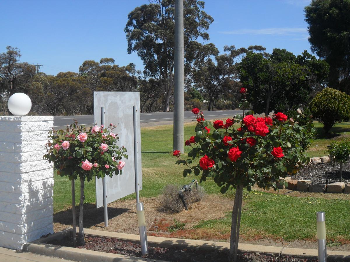 Motel Dimboola Стая снимка
